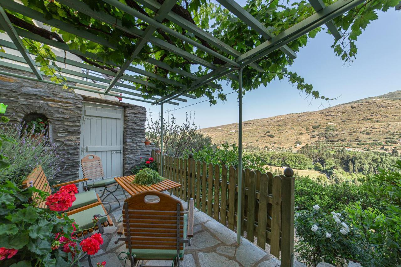 Victoria'S Summerhouse Andros Town Luaran gambar