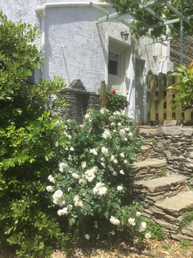 Victoria'S Summerhouse Andros Town Luaran gambar